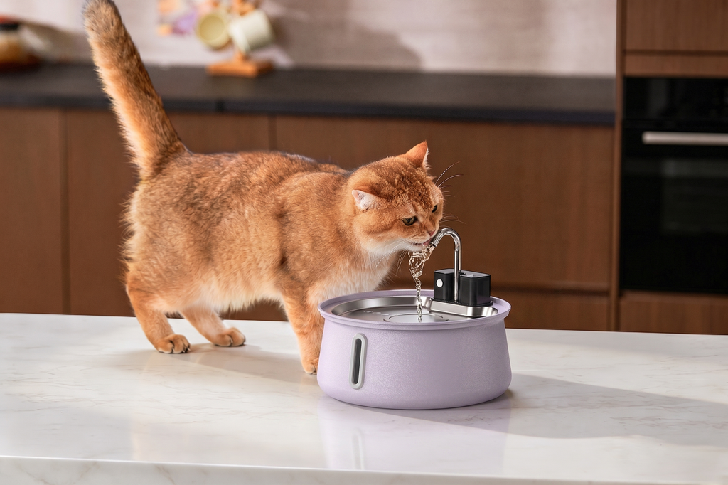 The KittySpout  - Wireless Fountain 2.0