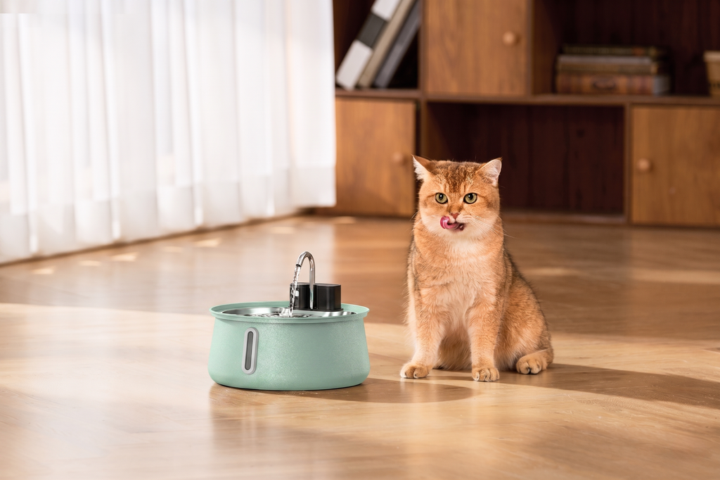The KittySpout  - Wireless Fountain 2.0