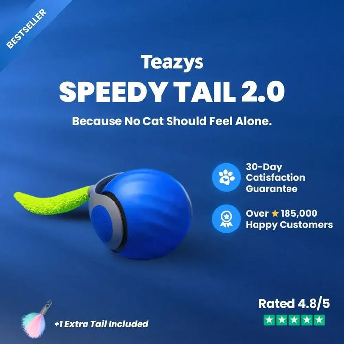 SPEEDY TAIL 2.0