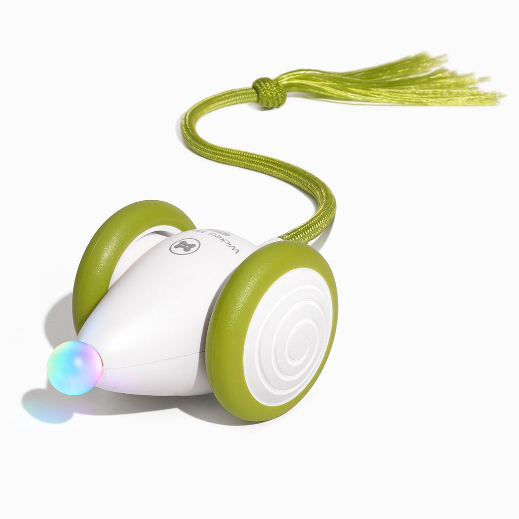 Wicked Mouse Neo